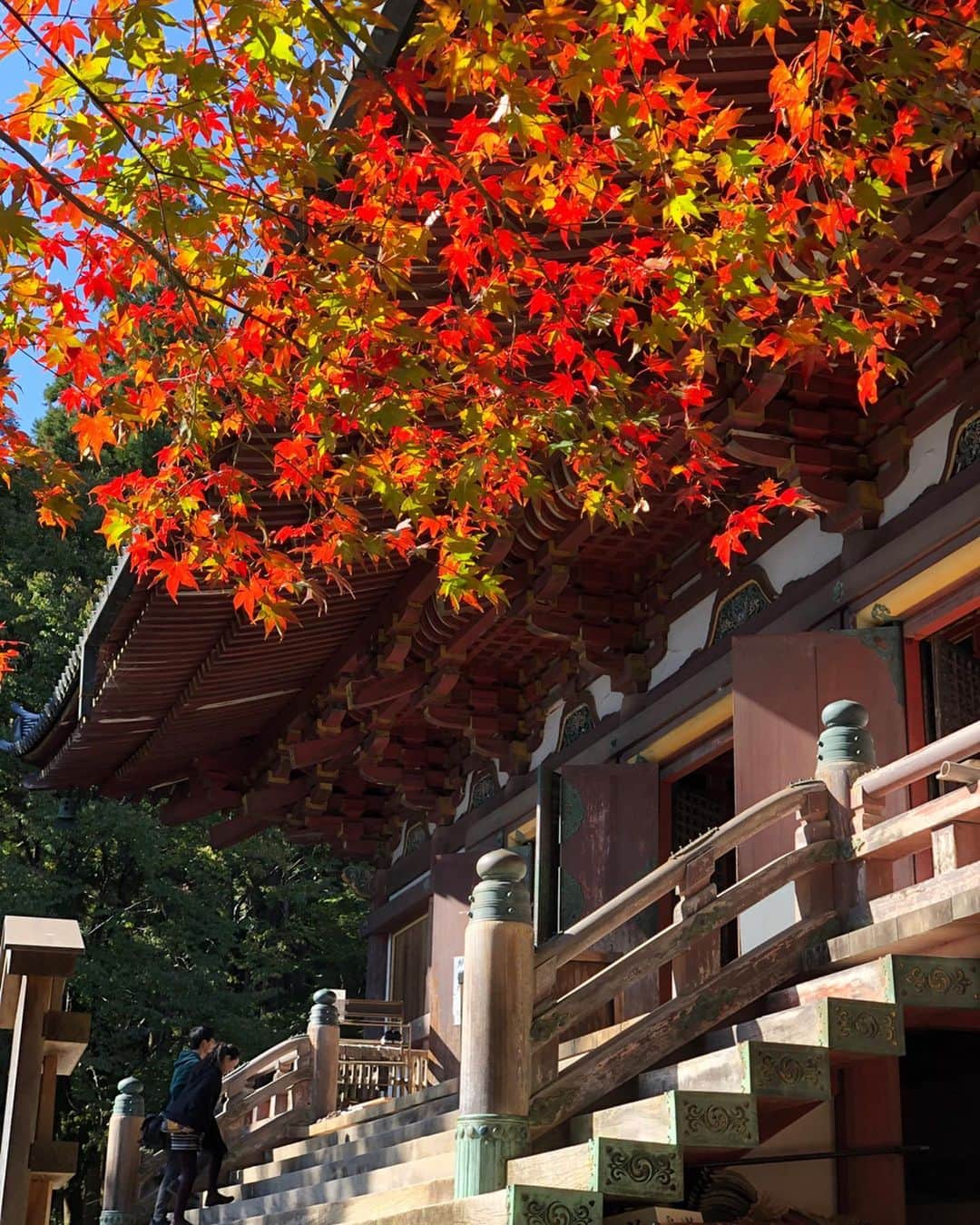 hama_aki_pppさんのインスタグラム写真 - (hama_aki_pppInstagram)「京都市右京区#神護寺 (スライドして下さい) Location Kyoto Japan (Swipe)  2019.11.10  西明寺からの神護寺🚶‍♀️💨行きました。  #神社仏閣  #寺院仏閣  #日本の絶景  #美しい日本  #そうだ京都行こう  #日本庭園  #おとな旅プレミアム  #天授庵  #絶景delic  #はなまっぷ  #japanesetemple  #japanesegarden  #look_japan  #total_asia  #total_autumn  #otonatabi_japan  #jalan_travel  #special_spot_  #raw_japan  #wu_japan  #ippawards  #earth_superior  #top_favourite_shots」11月21日 6時20分 - hama_aki_ppp