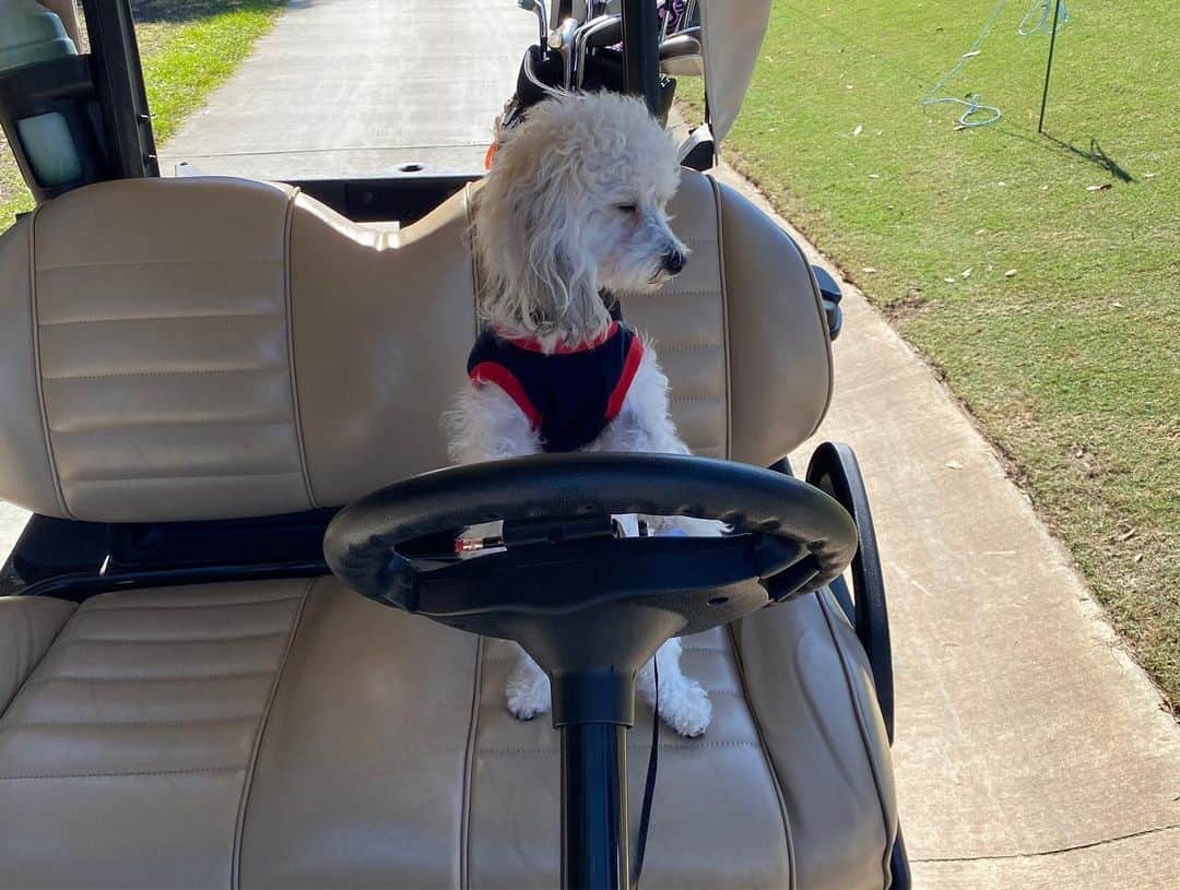 レクシー・トンプソンさんのインスタグラム写真 - (レクシー・トンプソンInstagram)「So happy to be back at the @cmegrouptourchamp at @tiburonnaples ! Had a blast in my pro am today 😊」11月21日 7時08分 - lexi