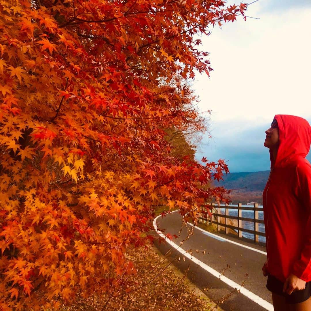 福島和可菜さんのインスタグラム写真 - (福島和可菜Instagram)「紅葉って、心が温まる色だなぁ…🍂☺️🍂 ウェアとのコーディネート完璧😎✋ #コーディネートはこーでねーと #コレが言いたかった #笑 #極寒 #でも #素足 #走る #と #暑い #love #running #山中湖 #富士山 #も見える #nice #view #秋 #紅葉 #赤 #黄 #オレンジ #心 #温まる #ウェア #シューズ #お気に入り #MIZUNO #🏃 #🍂 #🗻」11月21日 7時44分 - fukushimawakana