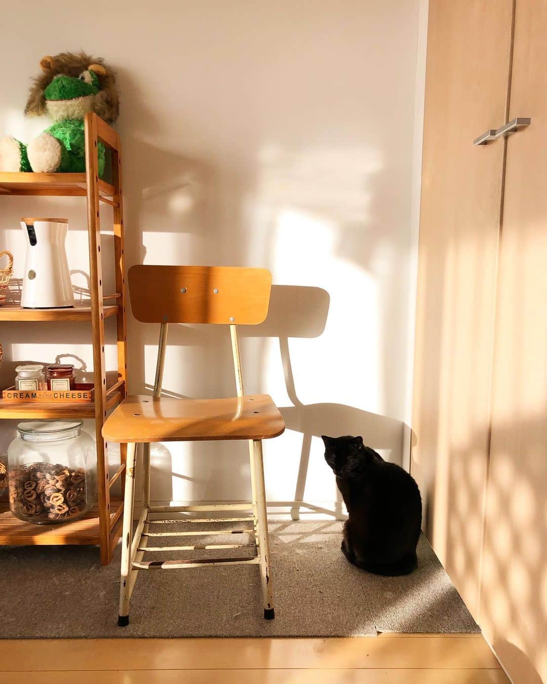 ホタテ＆クラム＆シラスのインスタグラム：「この時期の朝のお気に入りの場所　#cat #neko #blackcat #猫 #ねこ #黒猫 #catstagram #instagram #instagramjapan #ig_japan #igersjp」