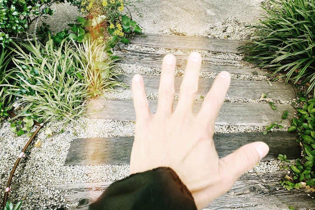浅田信一さんのインスタグラム写真 - (浅田信一Instagram)「🏃🏻‍♂️🏃🏻‍♂️🏃🏻‍♂️ いつものコースを6.5km👟 手がかじかむぜ✋ ひゃー😵」11月21日 8時07分 - asada_shinichi