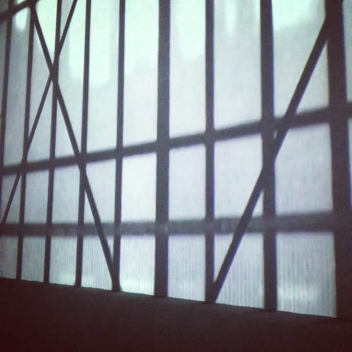 イアン・ボーエンのインスタグラム：「This is how you museum. * - - @tylerhoechlin」