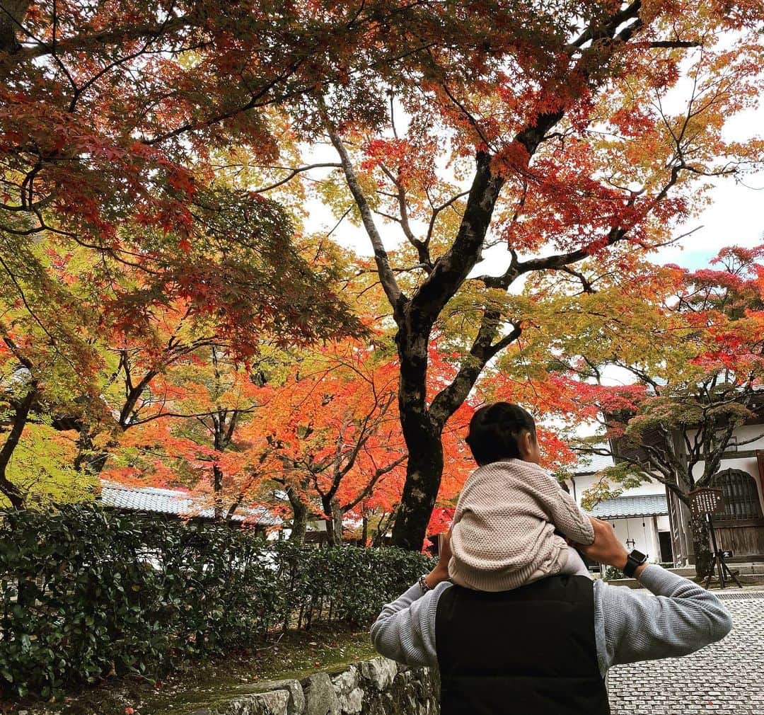 望月嶺臣のインスタグラム：「#紅葉#永源寺 休みに紅葉見てきました🍁」