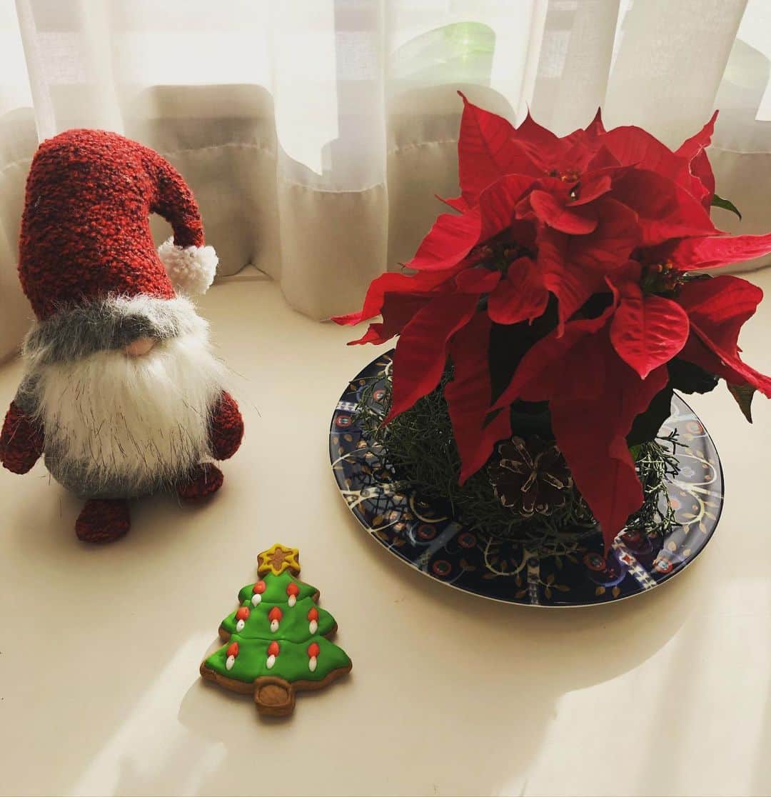 五箇公貴さんのインスタグラム写真 - (五箇公貴Instagram)「フィンランド🇫🇮大使館からご招待いただきPikkujouluに。ピックヨウルとは直訳するとクリスマスを待ち望む「プチクリスマス・パーティー」を意味します。左の小さな人形🤶はサンタのお手伝いをする妖精だそうです。プレゼントあげていい人かどうか判断したりするのだとか。報道官の奥様手作りのジンジャーブレッドも可愛い😍 #サ道　#visitingfinland」11月21日 19時45分 - kimitakagoka