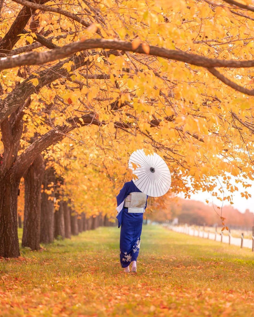 あや ◡̈*❤︎ayaさんのインスタグラム写真 - (あや ◡̈*❤︎ayaInstagram)「. . . 桜のシーズンに訪れた 思い入れのある場所 . . 秋にも来れるなんて。 . . かなりみんなで調べたけど 情報がなくて... でも行ってほんと良かった‼︎ . . 次はまだ桜の咲く季節に🌸 見れますように...🙏 . . . 📍長野県」11月21日 18時30分 - aya.15aya