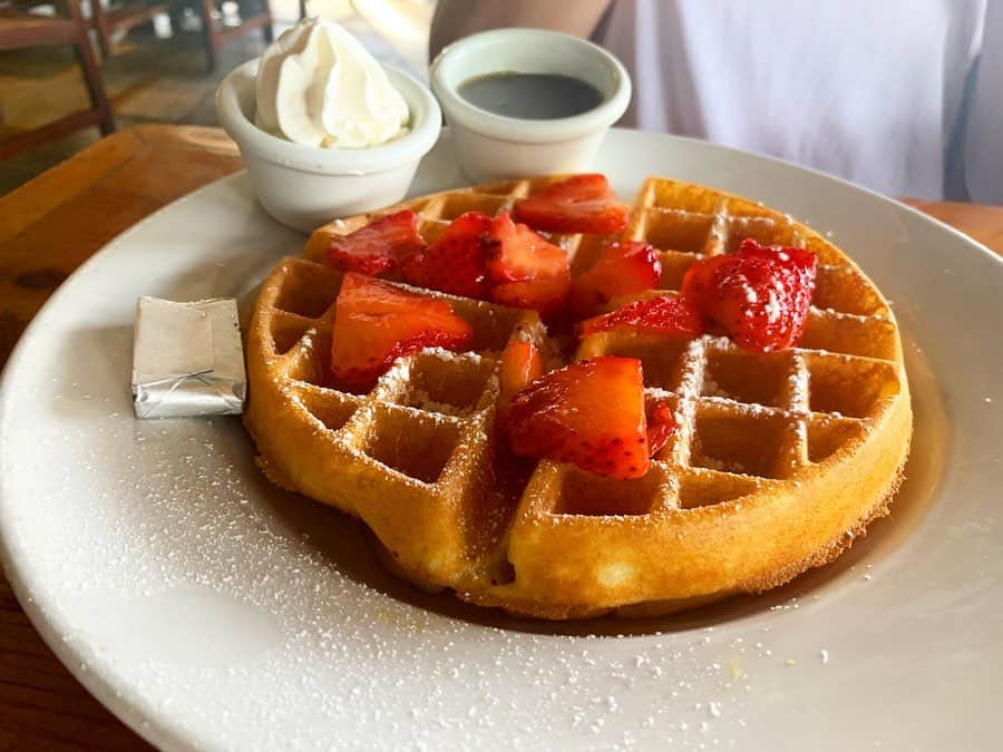 菊池沙都のインスタグラム：「Lulu’s Waikiki で朝食🥞 オムレツ大好物。中身ゴロゴロ。最高。 広くて景色も良くて朝から良い時間☕️ #オムレツ#ワッフル#omelette#waffle #Lulus#ハワイ朝食 #Hawaii#Waikiki#ハワイ#ワイキキ #ハワイグルメ#ハワイご飯#旅行#旅」