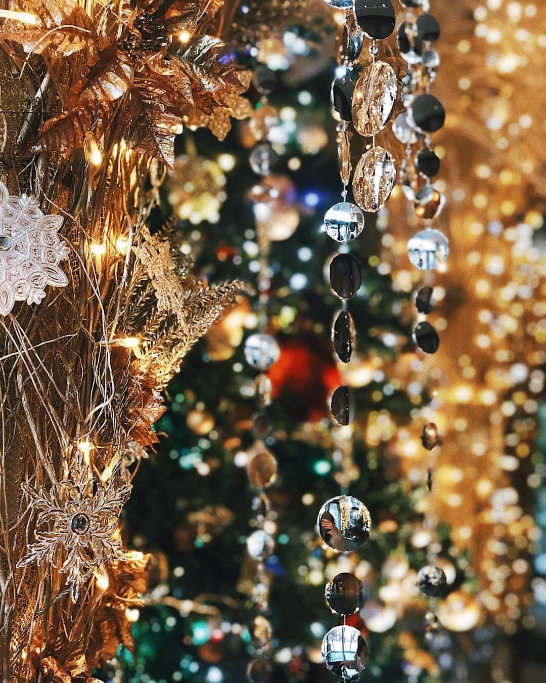 稲川千里さんのインスタグラム写真 - (稲川千里Instagram)「. . もうXmasなんだね❤️ #xmas #christmas #tree」11月21日 18時45分 - chiicamera