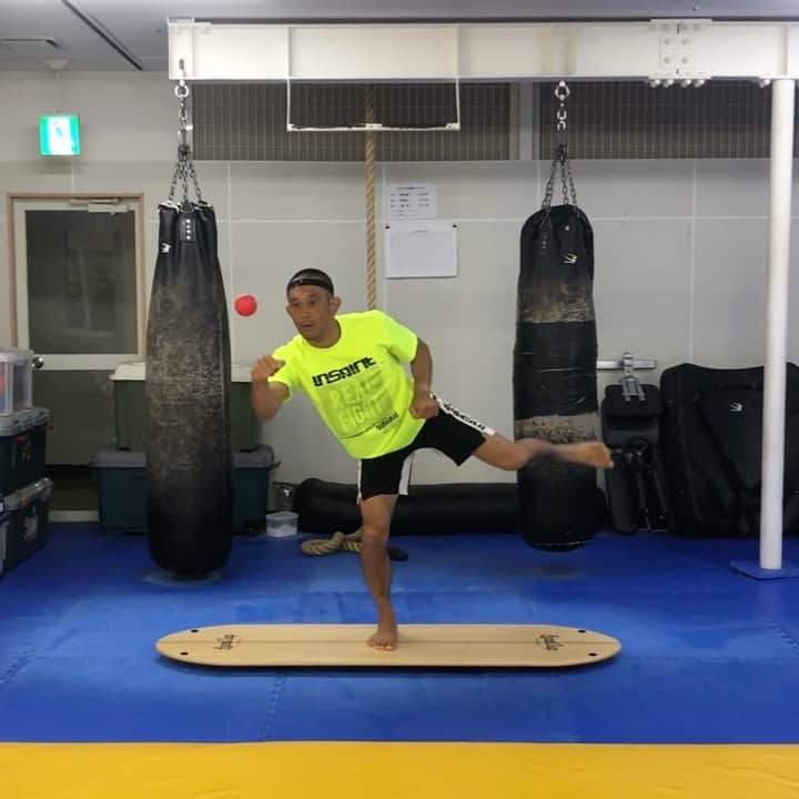 のインスタグラム：「@landsup_official を使用した体幹と動体視力を鍛える新トレーニングを開発。最近foilに真剣に取り組んでるので集中力と体幹が驚異的に進化してるのを感じます💪 New core training using landsup. #日々挑戦 #foiljitsu #ruminasatotrainingmethod #coretraining #functionaltraining #balanceboard #今日のルーツ #rootsgym #mma #shooto #workout #修斗 #小田原 #総合格闘技 #ダイエット #トレーニング #筋トレ #会員募集中」