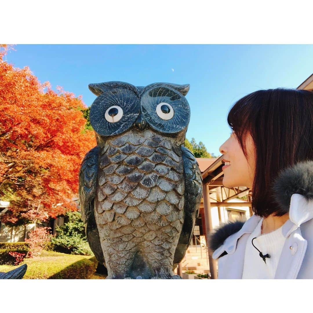 落合由佳さんのインスタグラム写真 - (落合由佳Instagram)「. フクロウ🦉 . きのう、酉の市でフクロウの熊手を連れて帰ったら…きょうのロケ先でフクロウが出迎えてくれました😆🙌 なんだかご利益ありそう😳笑💕 . . #フクロウ #🦉 #両神温泉薬師の湯 #小鹿野町 #道の駅 #温泉 #紅葉 #ロケ日和」11月21日 11時07分 - yuka.ocha