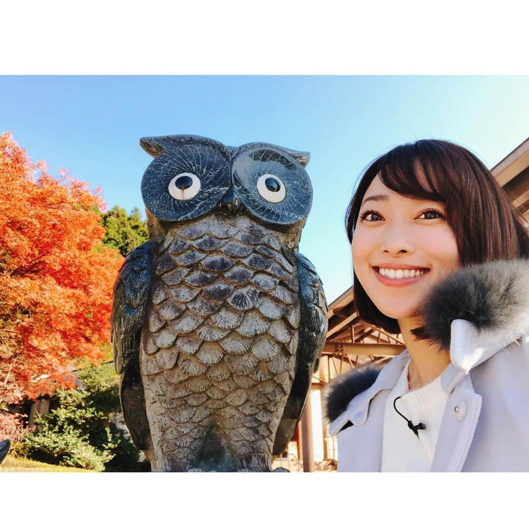 落合由佳さんのインスタグラム写真 - (落合由佳Instagram)「. フクロウ🦉 . きのう、酉の市でフクロウの熊手を連れて帰ったら…きょうのロケ先でフクロウが出迎えてくれました😆🙌 なんだかご利益ありそう😳笑💕 . . #フクロウ #🦉 #両神温泉薬師の湯 #小鹿野町 #道の駅 #温泉 #紅葉 #ロケ日和」11月21日 11時07分 - yuka.ocha