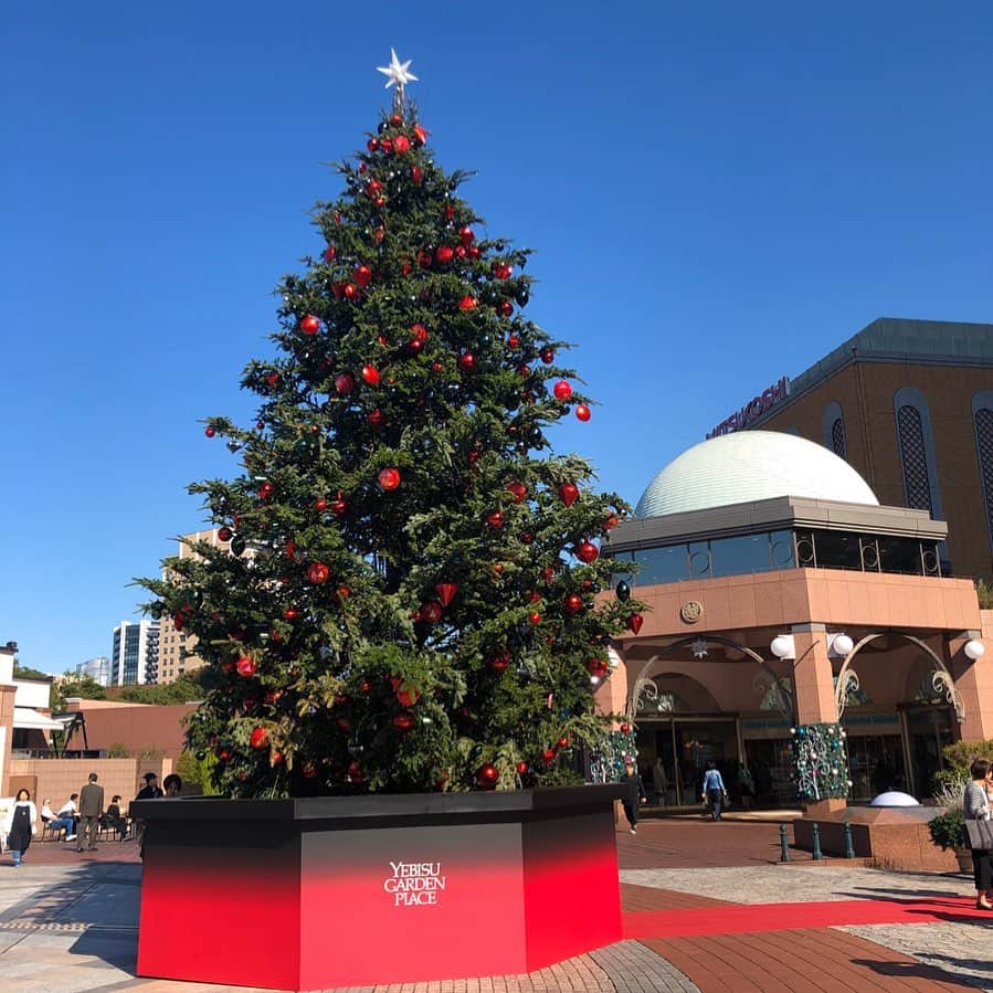 のインスタグラム：「. もうそんな季節🎄 . . 年末年始の会話もちらほら👄 . . 1年毎年あっちゅーま🥺 . . #恵比寿ガーデンプレイス#クリスマスツリー#片桐ゆたか #xmastree #yutakakatagiri」
