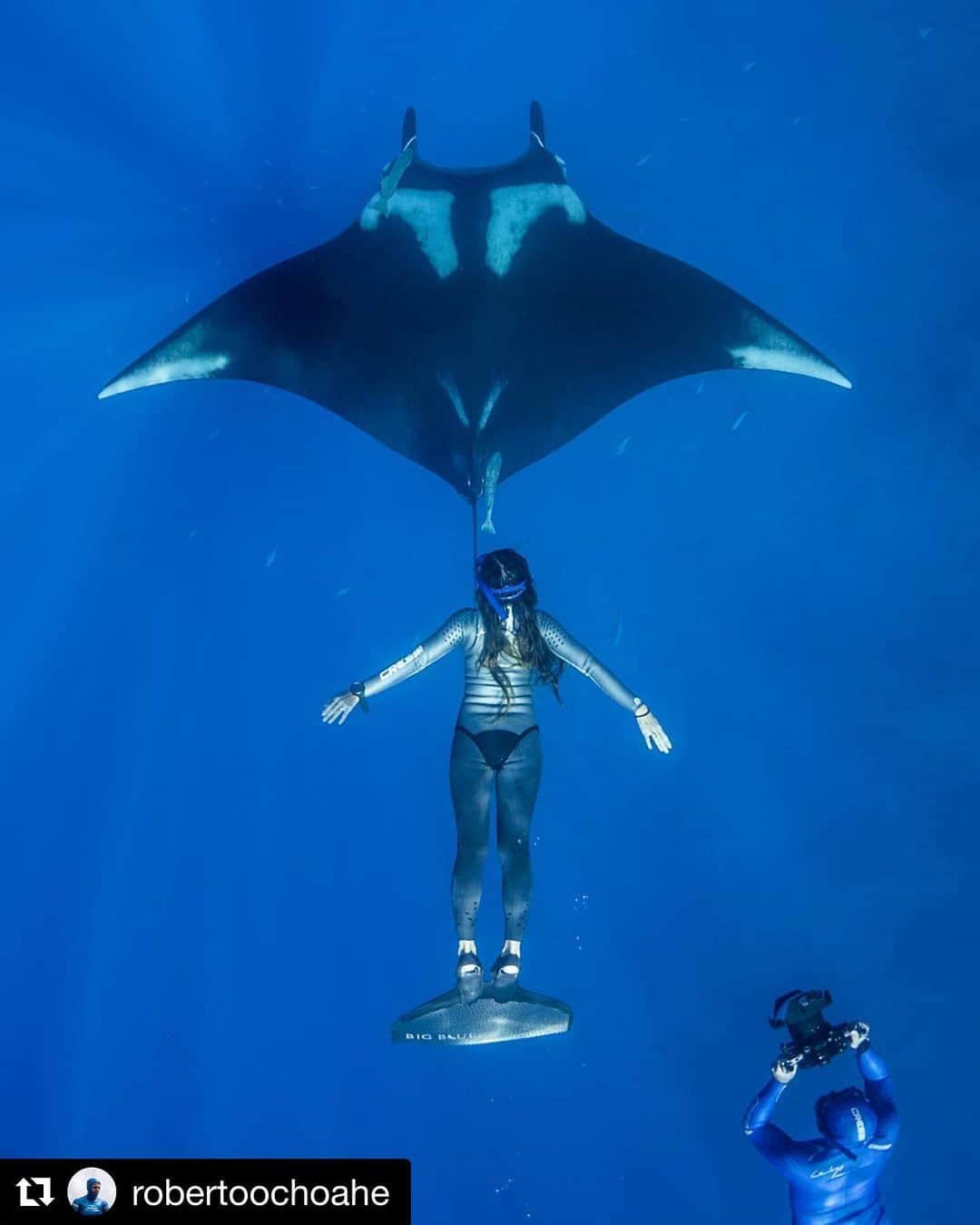 福田朋夏さんのインスタグラム写真 - (福田朋夏Instagram)「💙💙💙 #Repost @robertoochoahe ・・・ Behind the scenes  filming @tomoka_fukuda freediving with giant 😍🌊 Manta Rays during #socorroevolution @oceanevolutionfilms ! Photo by @craigparryphotography #robertoochoahe」11月21日 11時28分 - tomoka_fukuda