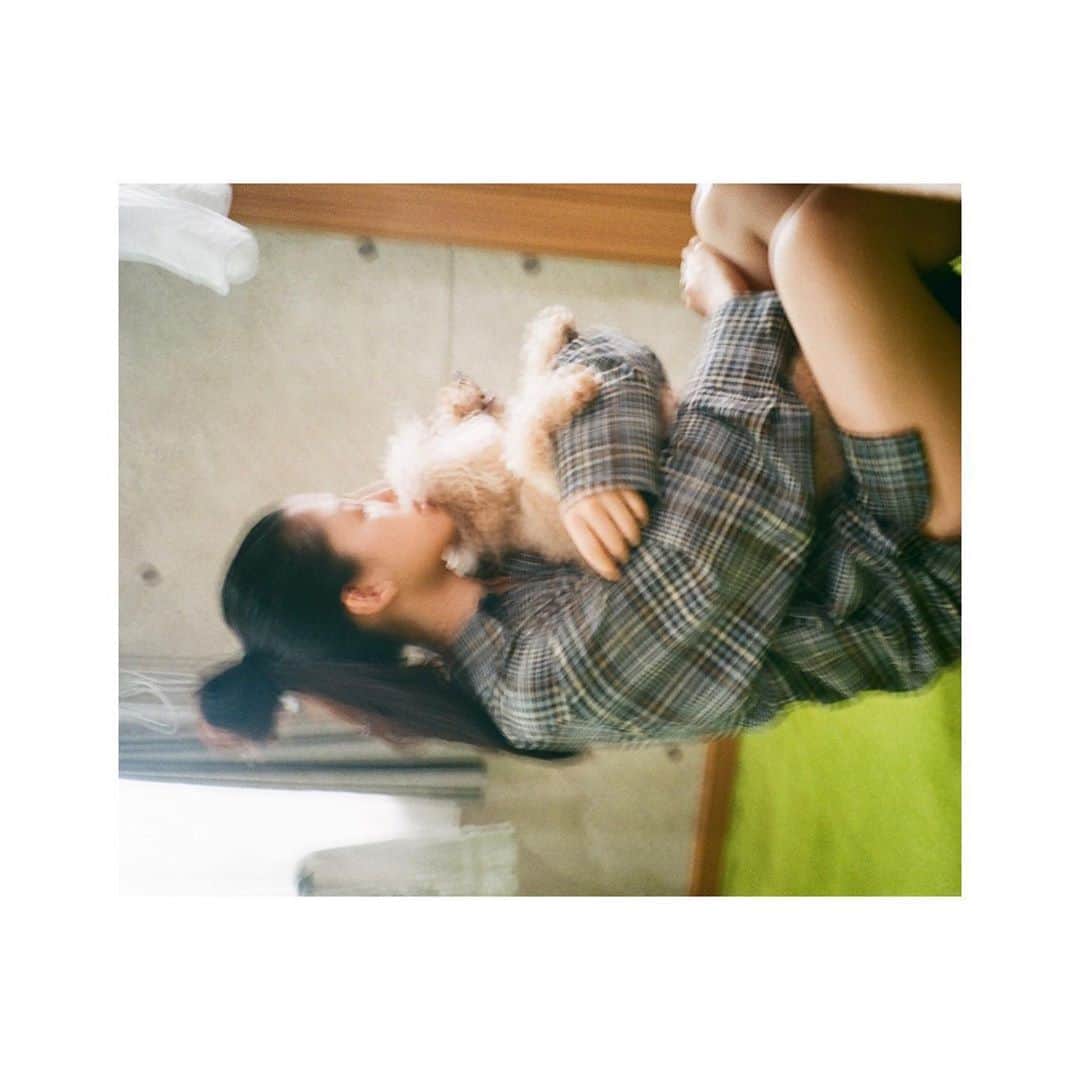 石井杏奈さんのインスタグラム写真 - (石井杏奈Instagram)「元気ですか？風邪ひいてないですか？ 温かくしてくださいね🌞 #film」11月21日 11時37分 - anna_ishii_official