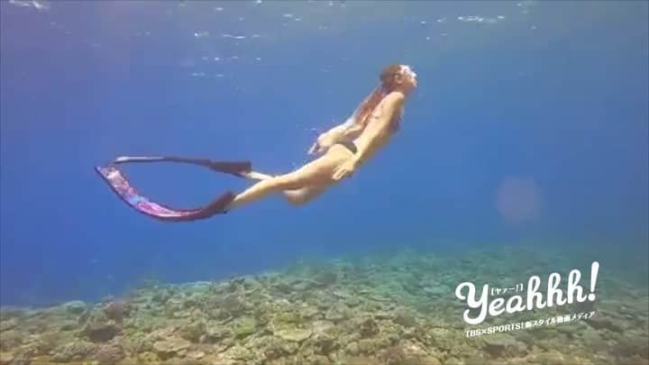 のインスタグラム：「フリーダイビングに癒される・Part2！ ﻿ 幻想的な海の世界を再びご案内します！ ﻿ フリーダイビングとは、呼吸するための器材を使わないダイビングのこと。今回も、１人の女性が美しすぎる海中を悠々と泳ぐ姿を撮影。広大な海をまるで独り占めしているかのような素晴らしい映像に、思わず惹きこまれる・・・！ ﻿ ﻿ 『kan（カン）』 ﻿ 美しい海の世界と、一息で感じる世界に魅了されfreediver の免許取得。 ﻿ 現在、フリーダイビングトレーニングをしながら、スキンダイビングを中心に水中写真、水中動画を撮影している。 ﻿ ﻿ ↓アナタの動画も受付中！ ﻿ http://www.tbs.co.jp/Yeahhhsports/ ﻿ #TBS #Yeahhh #フリーダイビング #ダイビング #kan #freediving #diving #マリンスポーツ #海 #ocean #フリーダイバー  #sports #投稿動画」