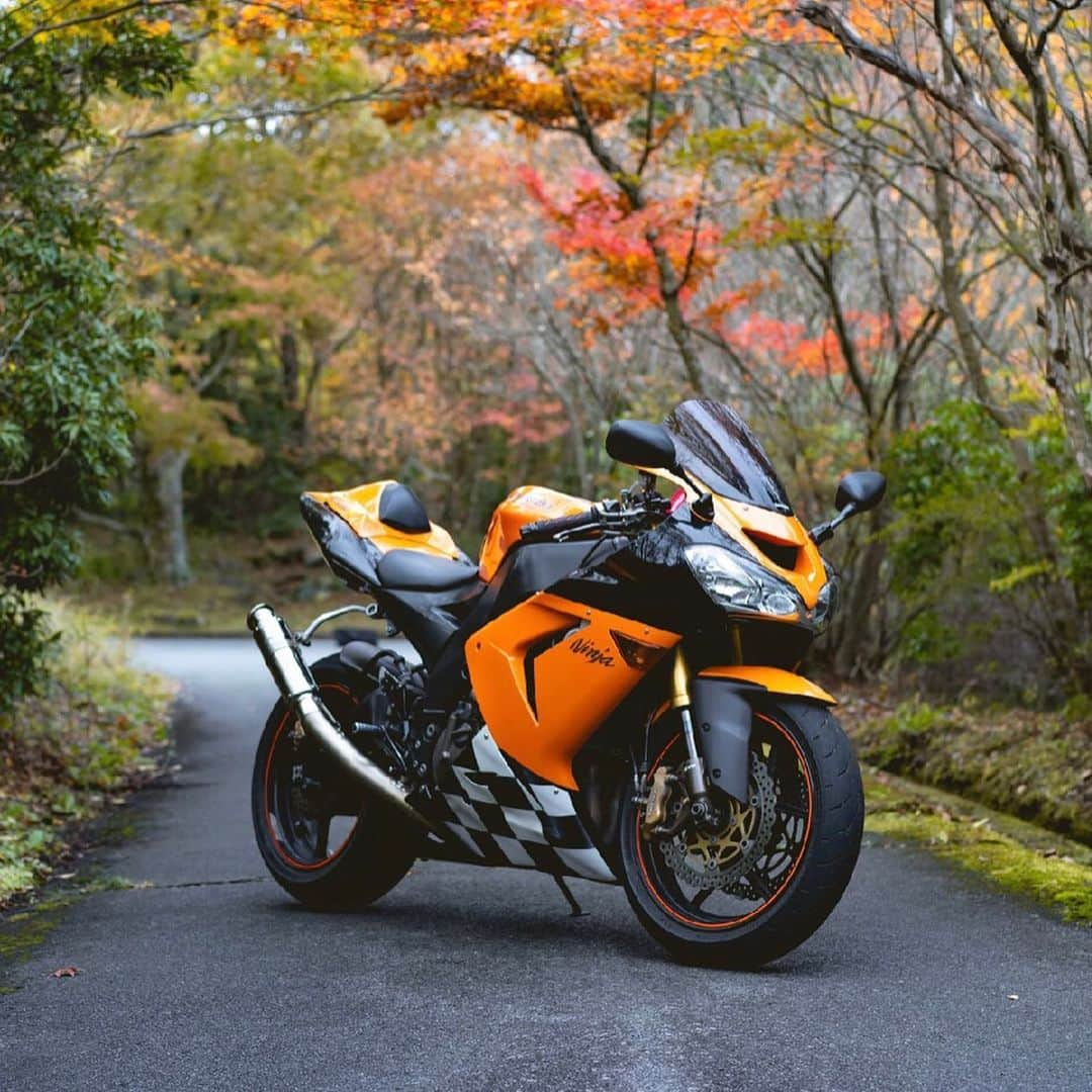 ISSYのインスタグラム：「@r193rikusan さんに撮っていただきました😊 秋が似合うな⭐️ #kawasaki  #zx10r」