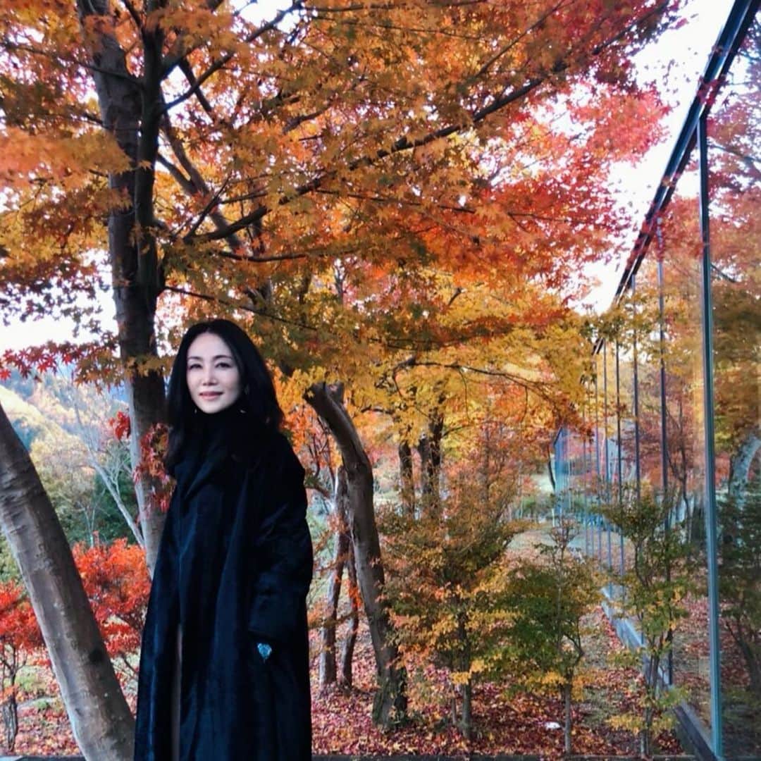 坂村かおるのグルメインスタ