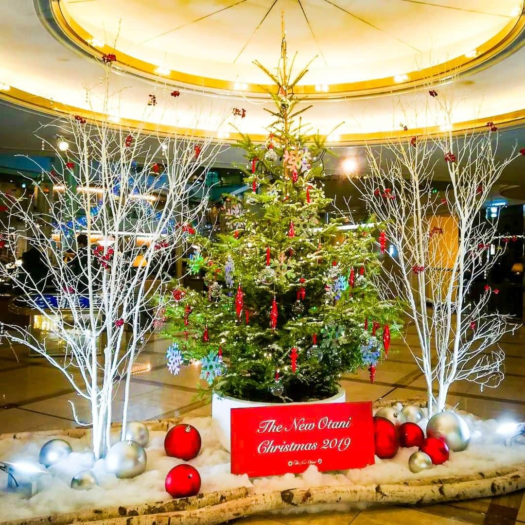 OSAKA WONDER LOOPさんのインスタグラム写真 - (OSAKA WONDER LOOPInstagram)「#Osaka is getting ready for Christmas! Check out the decorations at #HotelNewOtani at #OsakaWonderLoopBus stop 1! Come see the city from the streets with us! Get on at any of our 14 bus stops and buy your ticket directly on the bus! https://wonderloop.jp  #hoponhopoff #loopbus #sightseeing #christmasdecorations #chirstmastree  @HotelNewOtaniOsaka @newotani_osaka」11月21日 12時40分 - osakawonderloopbus