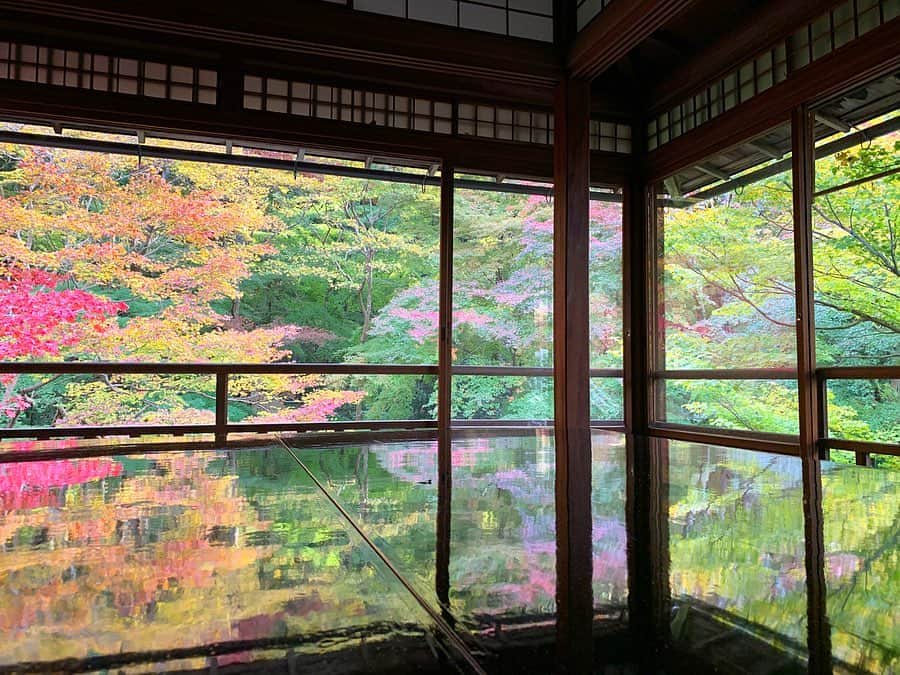 信近エリのインスタグラム：「.﻿ 2019.11.19﻿ #瑠璃光院﻿ #永観堂禅林寺﻿ #そうだ京都行こう」