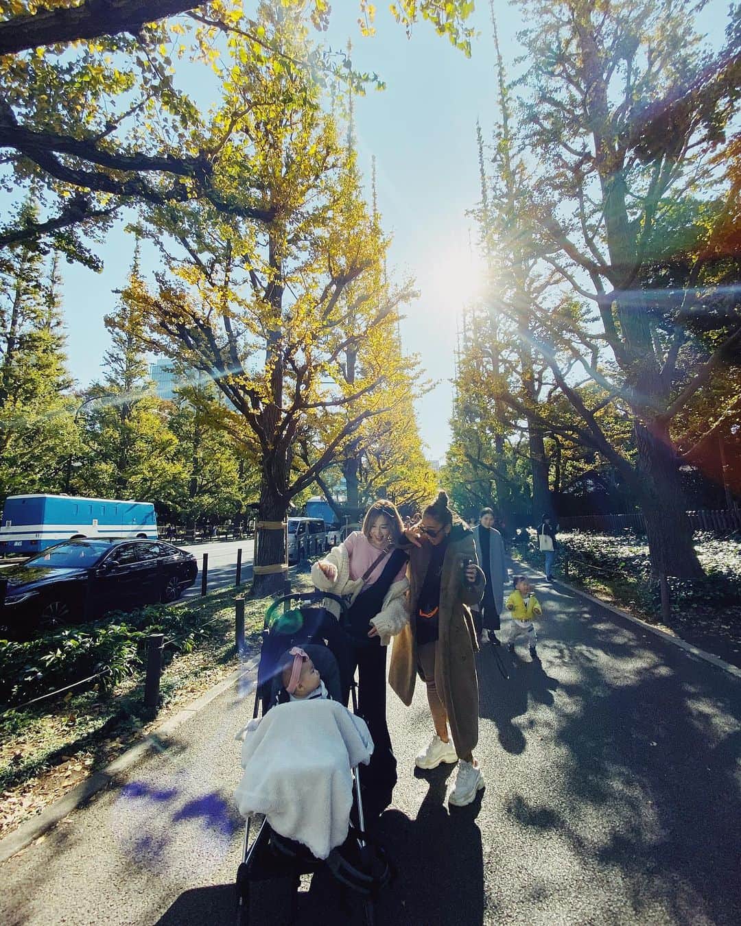 shihoのインスタグラム：「あさんぽ🐾 . . もう少ししたら 一面黄色い世界になりそ💛 その時またお散歩しにこよう！ . みにしぽもすごい興奮してて 楽しそうだった♡ すれ違う人みんなに手振ってて 優しくしてもらえて 朝からほっこりん♡ . . ワイワイお散歩 たのしかったね😋💛 . . てか広角レンズの脚長効果 はんぱないって🤣✌️ . . . #お散歩#外苑前いちょう並木」