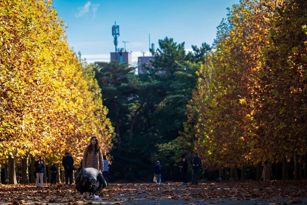 サイモンとマルティナさんのインスタグラム写真 - (サイモンとマルティナInstagram)「Fall time in Shinjuku Park.」11月21日 14時03分 - eatyourkimchi