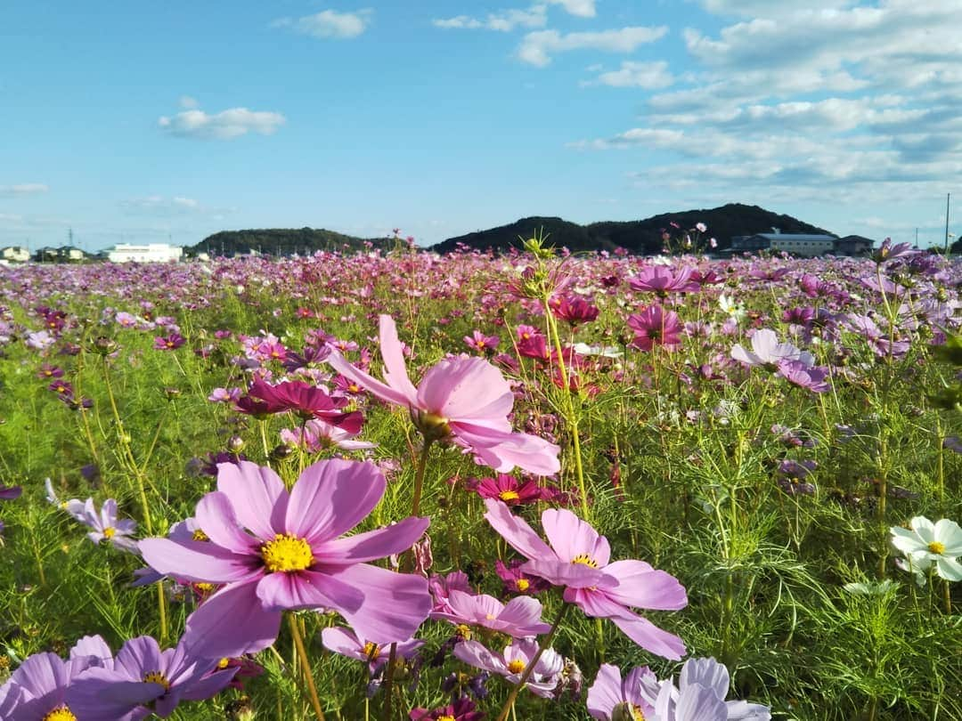 aco.のインスタグラム