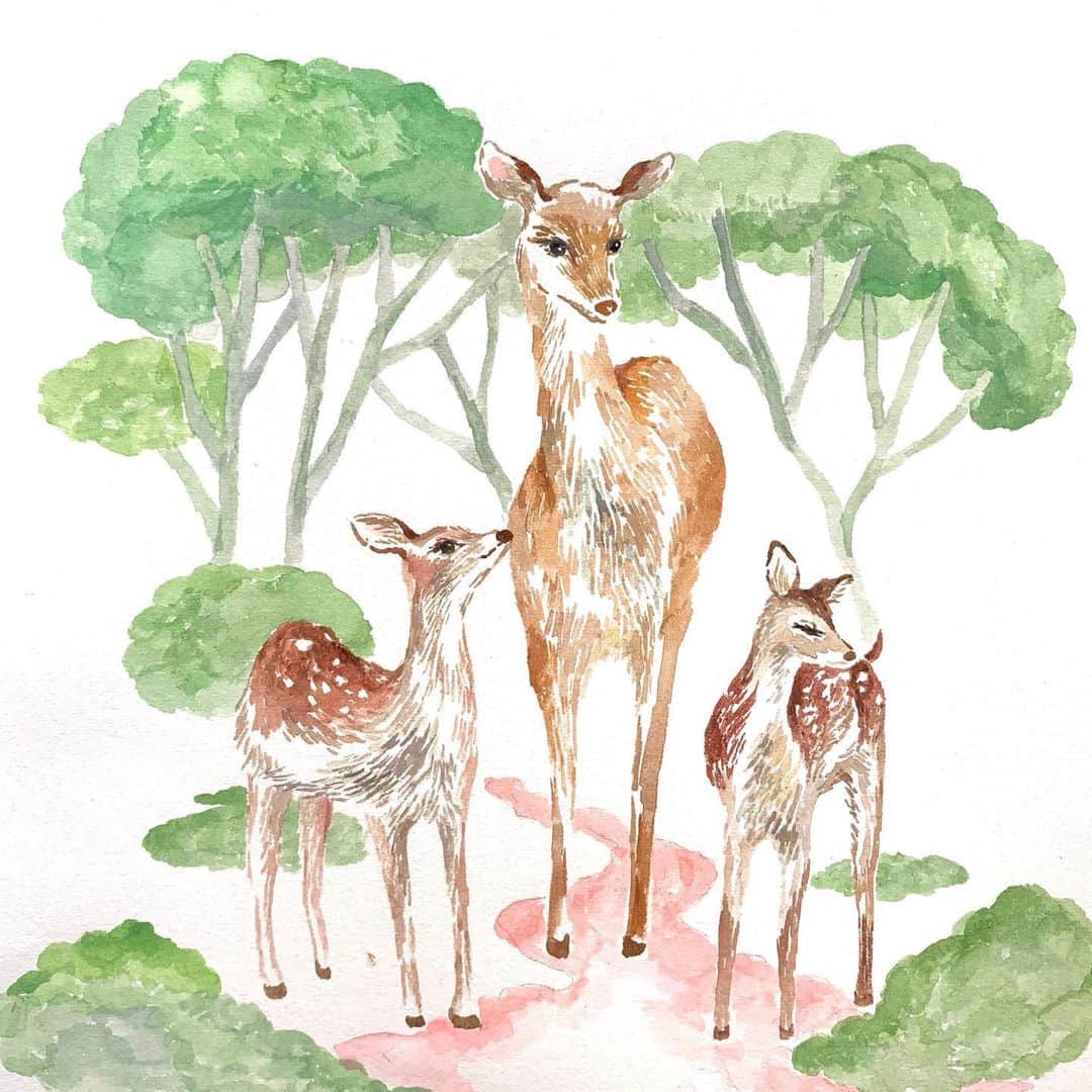 利光春華のインスタグラム