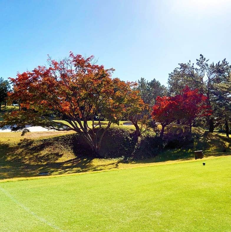 五十嵐一誠さんのインスタグラム写真 - (五十嵐一誠Instagram)「紅葉ゴルフ🎵  横浜カントリークラブの紅葉も かなり見ごろになってきてます☺️ 30年来の友達とエンジョイゴルフ  #ゴルフ#横浜カントリークラブ#golf#紅葉 #フットジョイ#zara #アバクロ#ゴルフ女子 #pga#lpga#klpga#モンクレール#moncler」11月21日 15時23分 - superdentist5