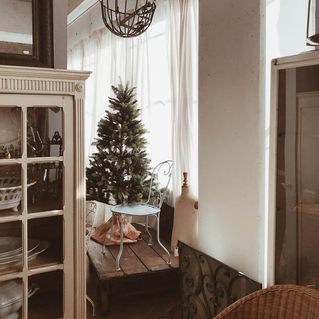 yuiのインスタグラム：「christmas tree. 来年は我が家も大きなツリーを買いたい🌲」