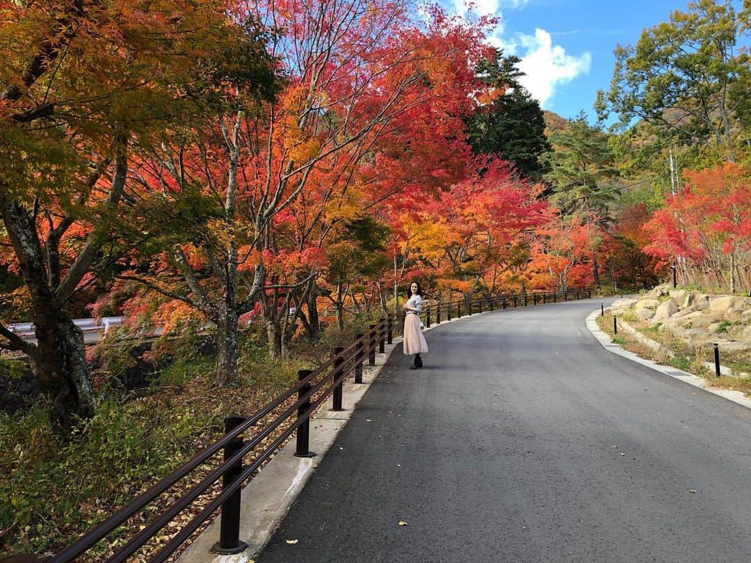 英玲奈さんのインスタグラム写真 - (英玲奈Instagram)「先日、紅葉狩りをかねた温泉旅行に河口湖に行ってきました。 最近夫も私も忙しくて、さらに夫はなかなか日本にいなかったので、 こんなにゆっくりしたのは久しぶり。  自転車借りて湖畔まで行ったりお土産買いに行ったりしたのも楽しかった！ 「自転車乗れるの？」と私の運動神経の無さを見抜かれてましたがw 何を隠そう私は二輪免許保持者。 華麗で保守的なライディングを披露しました( ´ ▽ ` )ﾉ  河口湖まで行ったから、ワカサギドーム船乗りたかったけどw 今回は夫とゆっくりする旅にしました！  紅葉は綺麗だったし温泉もとても良かったけど、 何より夫と一緒の時間を過ごせたことが幸せでした。 きっと私はただの公園でも嬉しい。  影虎さんは、 じぃじとばぁばのお家にお泊り。 2人は影が来て喜んでたけど、 影虎さんは迎えに行ったらなんだかしばらくもにょもにょ文句言ってたよw  最近、夫も影と仲良しだし、すごく可愛いと思ってくれているので、 2人して、 「影元気にしてるかなぁ？」 って気になっちゃってたw  また影も一緒に軽井沢行きたいなぁ╰(*´︶`*)╯♡ #紅葉狩り #旅行 #温泉旅行 #夫とデート #夫婦で旅行 #夫婦の時間 #幸せ時間」11月21日 16時46分 - erena_erenyan