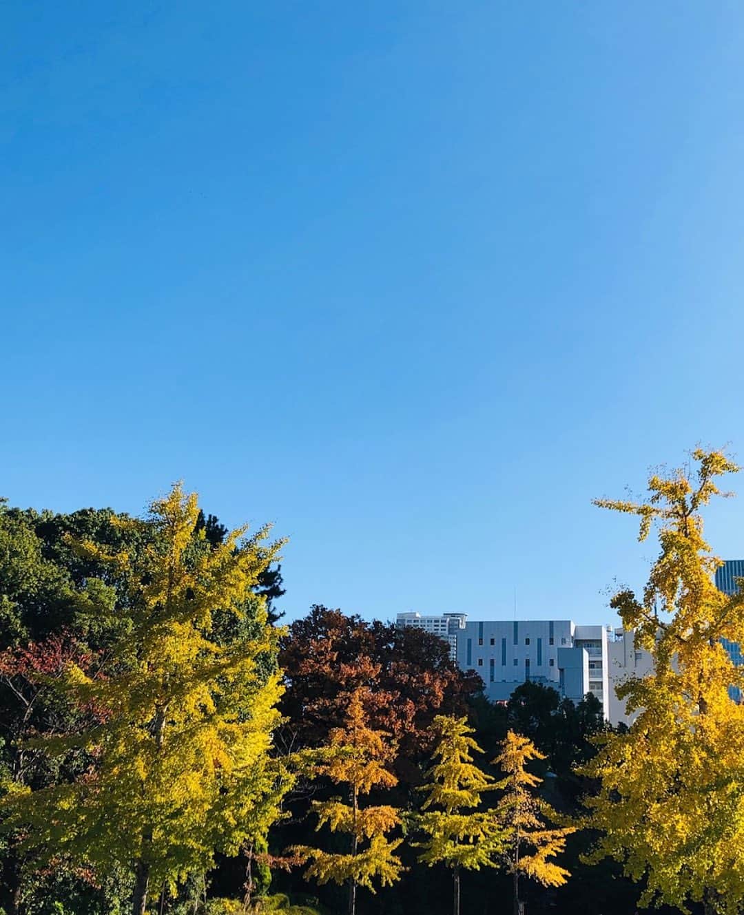 東京プリンスホテルのインスタグラム