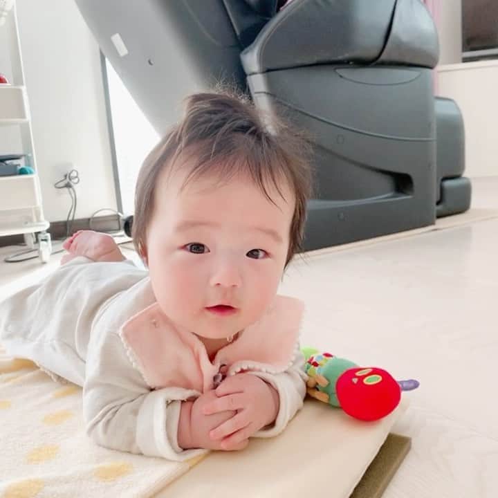 しほの涼のインスタグラム：「自分の名前を呼ばれると振り向くようになりました😚💕 私は産まれてスグからあだ名で呼んでるので、私が名前呼んでも反応しません😵💦 #うつ伏せ練習 #うつ伏せ大好き#寝返り練習 #寝返り練習中 #寝返りはまだ #寝返りまだ#生後4カ月#女の子赤ちゃん#赤ちゃん#赤ちゃん動画#赤ちゃんとママ#はらぺこあおむし #ベッカムヘア#赤ちゃんのいる暮らし#よだれヤバイ」