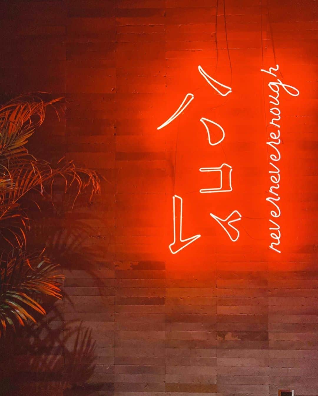 のインスタグラム：「CANTON DISCO🥢🏮 ご飯が美味しい上海！ そして人も優しくあたたかい😭 良い意味で裏切られた！良き♥️ . . #akikiinshanghai #edition#editionhotel#shanghaiedition  #cantondisco#粤味 #shanghai#bund#thebund#上海#外灘」