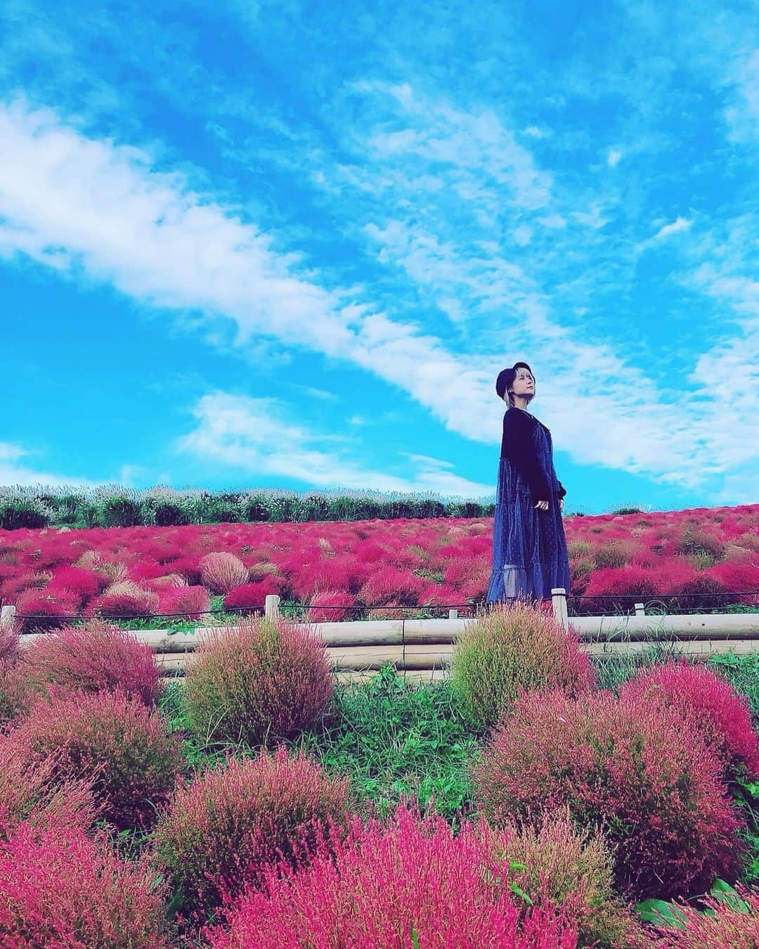 吉田有里のインスタグラム：「🌸🌹🌼🌺🌱🍁 #flowerstagram #kokia」