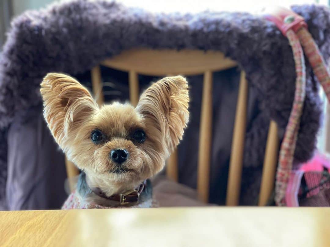 Rubyのグルメインスタ