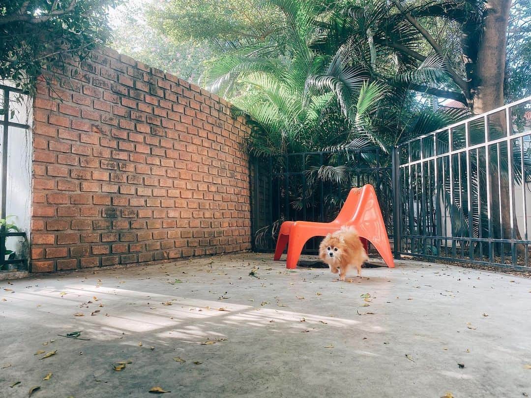 r_oseのインスタグラム：「I’m here 🦁〰️ #myfirstlove」