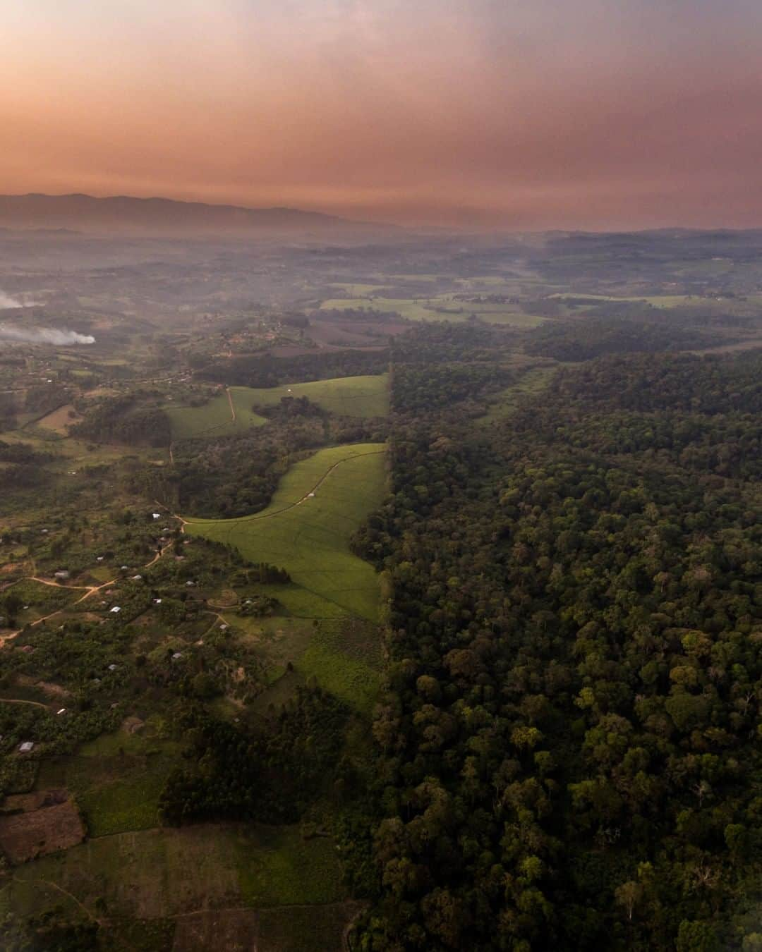 National Geographic Travelさんのインスタグラム写真 - (National Geographic TravelInstagram)「Photo by @ronan_donovan | Twilight falls over Kibale National Park in western Uganda. With around 1,500 chimpanzees living in this protected area, it’s one of the best places to see wild chimps. To see photos of chimps from this forest, follow @ronan_donovan.」11月21日 18時08分 - natgeotravel