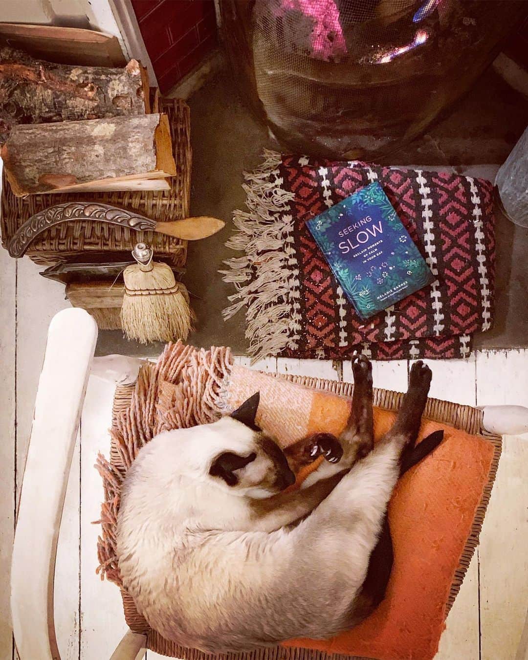 Tea and sittingのインスタグラム：「📘....Just on my way out to @geoffreyandgrace ’s lovely #seekingslow book launch...The Cheeks has already found his slow and is staying put!! 🌿🧡」
