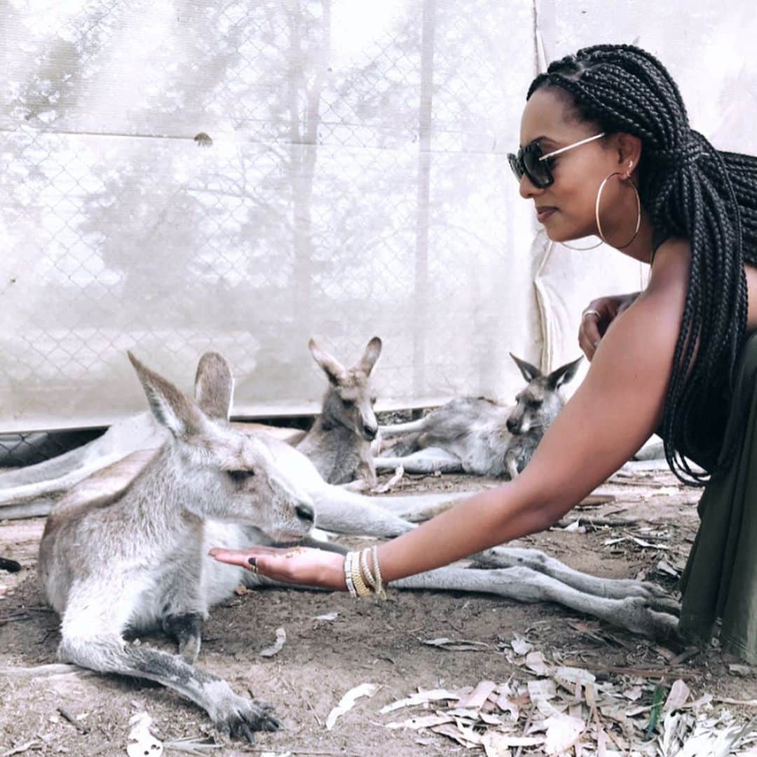 のインスタグラム：「I pet a kangaroo on my first trip to Australia, but this time I felt more brave. Ain’t nobody tryna get boxed. 🥊🦘 #thiswascooltho」
