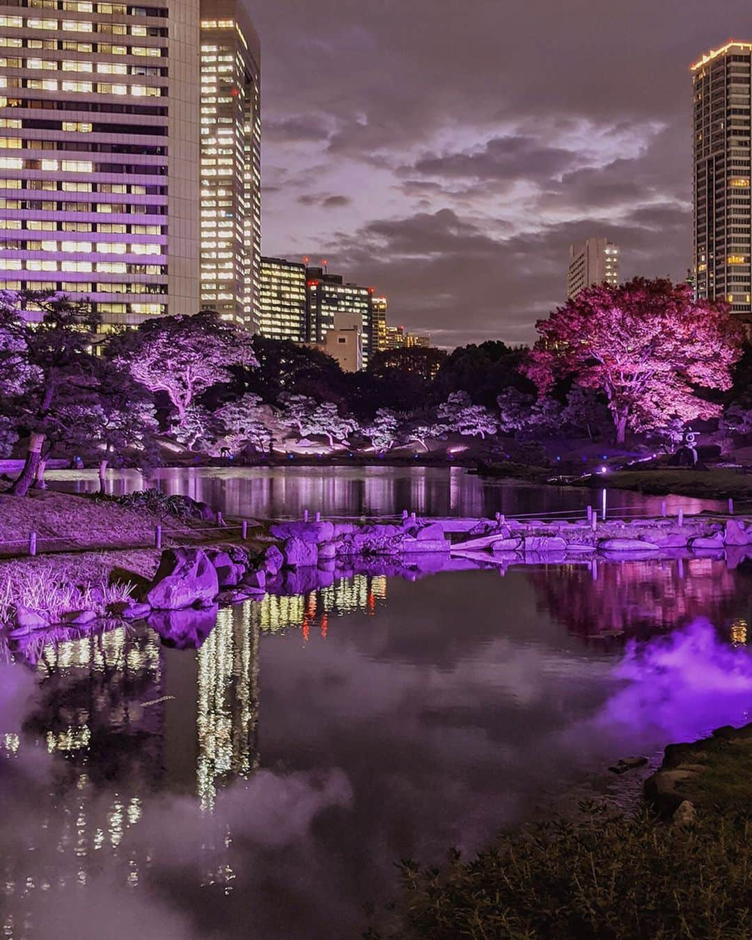 masayaさんのインスタグラム写真 - (masayaInstagram)「EDO AKI YAKAI 江戸秋夜会 TOKYO  Kyu-Shiba-Rikyu Gardens　旧芝離宮恩賜庭園 Open until November 23rd. I've been to EDO AKI YAKAI last night.  Kyu-Shiba-Rikyu Gardens which is a Daimyo (Japanese feudal lord) garden built in the middle of Edo period in 16th century. It is now opened at the night for the special event, and you can enjoy the illumination warmly lighting up the night of the fall or the fog installation over Japanese food related to Edo and beverages provided by Suntory. Suntory's Roku Gin is authentic gin that Japanese taste is added with traditional Japanese plants, flowers and leaves of cherry blossom, green tea, yam and yuzu which were picked up at the best season.  #SuntoryTime #ROKU #SUNTORY #JapaneseCraftGin #Gin #Tokyo #Japan #Tokyonightview #Tokyonight #東京 #Tokyonightlife #Japanesegarden #江戸秋夜会 #PR」11月21日 20時04分 - moonlightice