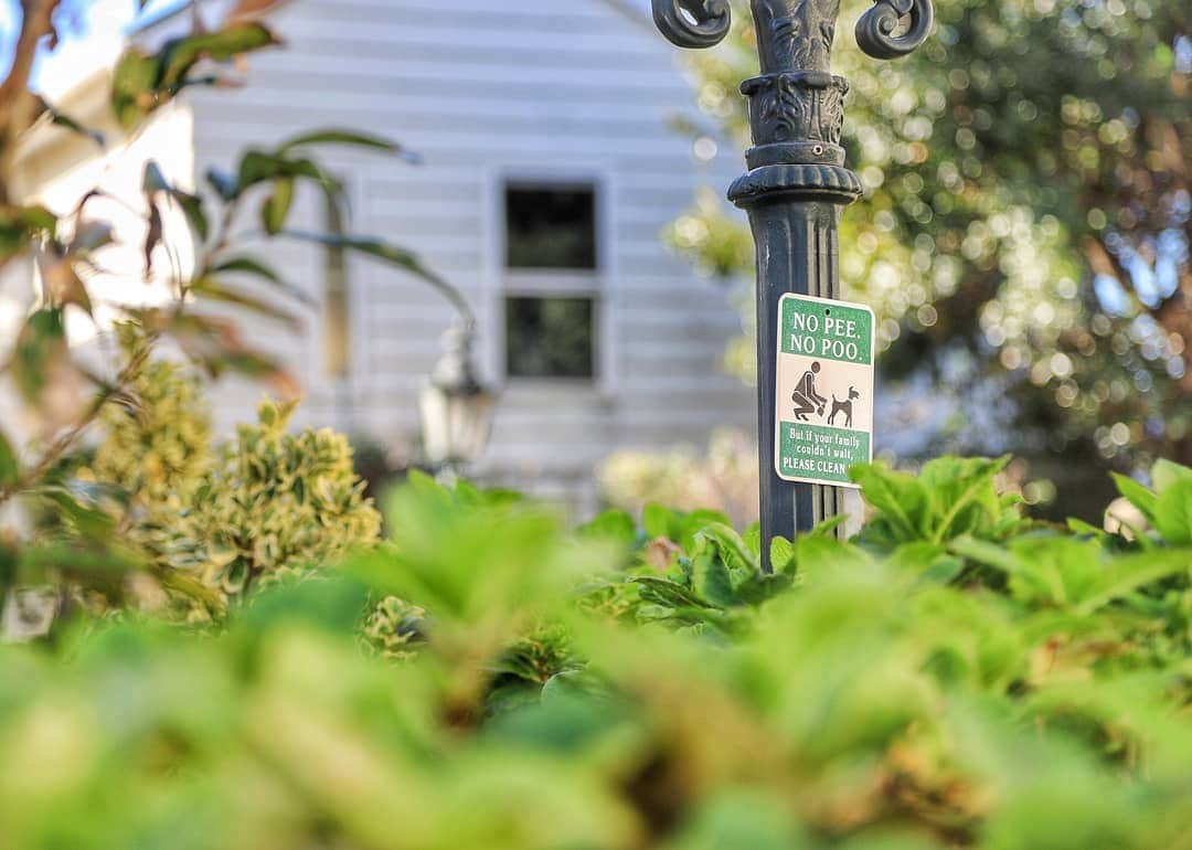 葉山町のグルメインスタ