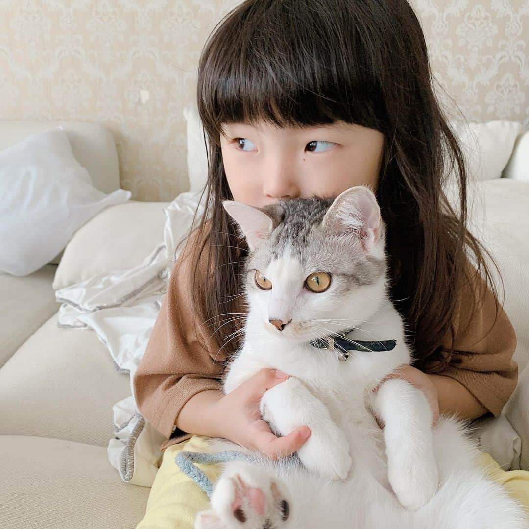 kinaxのインスタグラム：「. good night✨🌙 . . 今日も寒いねー❄️ 日が落ちると一気に冬だね⛄️ . . そんなこんなで 明日からお天気が崩れるらしく… 土曜日は楽しみにしていた #丸の内ストリートマーケット だったのだけど 中止の連絡がきたよ😭 . ものすごーく残念だけど 小雨で寒くて、開催したけどお客さんが全然来ない とかよりはよかったのかな☔️ . . 気を取り直して、通販と次の出店に向けて がんばりますʕ •́؈•̀ ₎♡ . . そして今日もむちこさんに捕まるルナ🐈 いつも大人しく捕まると言うことは 思ったより嫌ではないのかな…😂 . . みんなも暖かくして寝てねー🧶 . #親バカ部 #猫バカ部 #ねこすたぐらむ #保護猫 #雨天中止 #ざんねん 2019/11/21」