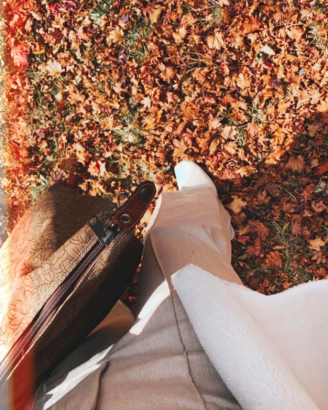 古川貴絵さんのインスタグラム写真 - (古川貴絵Instagram)「紅葉🍁 ２枚目に持ってるのは焼き鳥じゃなくぬれおかき❤︎ #紅葉 #群馬」11月21日 21時24分 - _kiegram