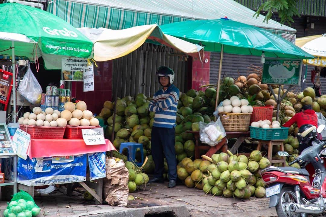 Shunsuke Miyatakeのインスタグラム：「A guard of Coconut Empire」