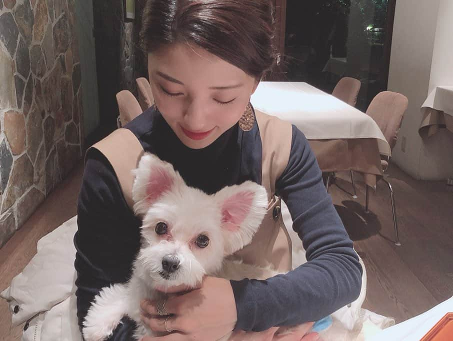 松井絵里奈さんのインスタグラム写真 - (松井絵里奈Instagram)「🐶 愛犬の8才お誕生日を 迎えました❤︎ 1日1日こうして元気で居てくれること。当たり前じゃないなと。1日の命の尊さは奇跡の連続です🙏🏻✨ ・ ・ これからも家族との幸せな 時間を大切に過ごしていきたいです。 時間を使うことは命を使うことだと私は思います。 大切な人を想う時間。 大好き❤︎ありがとう❤︎と、 何度も何度も伝えたい。 たくさん抱きしめたい。 ・ Have your dog's 8th birthday❤︎ I want to spend time with my family. #お誕生日#愛犬#家族 #一年前の事故を忘れない #絆#時間#愛#love #思いやり#大好き#言葉 #山梨#富士山#ドライブ #姉妹旅行#レジーナリゾート富士  #松井絵里奈 #紅葉が美しかった #🍁」11月21日 22時38分 - erina74xx