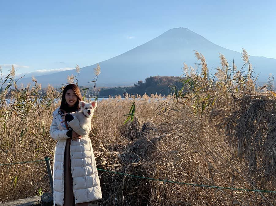 松井絵里奈さんのインスタグラム写真 - (松井絵里奈Instagram)「🐶 愛犬の8才お誕生日を 迎えました❤︎ 1日1日こうして元気で居てくれること。当たり前じゃないなと。1日の命の尊さは奇跡の連続です🙏🏻✨ ・ ・ これからも家族との幸せな 時間を大切に過ごしていきたいです。 時間を使うことは命を使うことだと私は思います。 大切な人を想う時間。 大好き❤︎ありがとう❤︎と、 何度も何度も伝えたい。 たくさん抱きしめたい。 ・ Have your dog's 8th birthday❤︎ I want to spend time with my family. #お誕生日#愛犬#家族 #一年前の事故を忘れない #絆#時間#愛#love #思いやり#大好き#言葉 #山梨#富士山#ドライブ #姉妹旅行#レジーナリゾート富士  #松井絵里奈 #紅葉が美しかった #🍁」11月21日 22時38分 - erina74xx