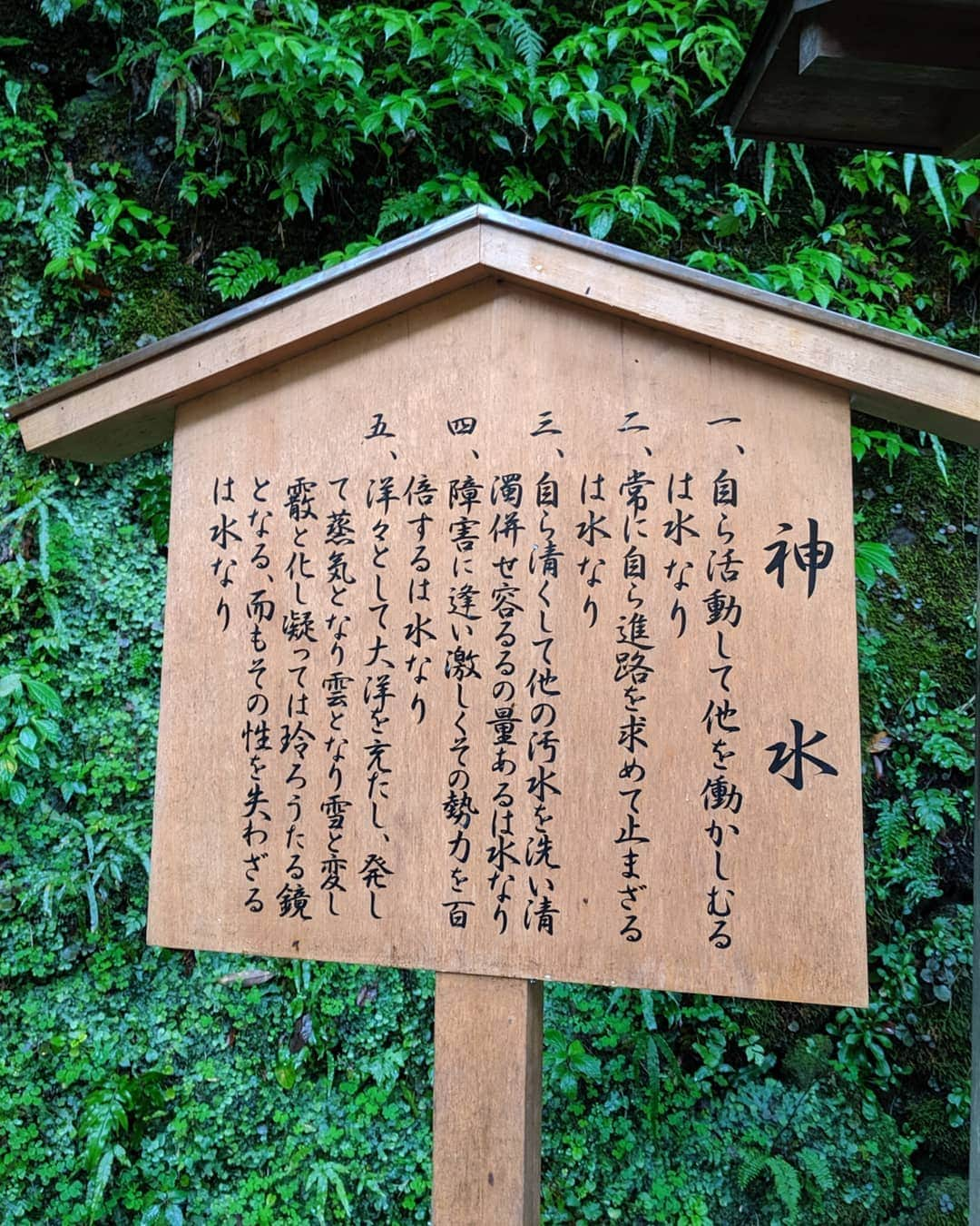 コムアイさんのインスタグラム写真 - (コムアイInstagram)「About my favorite water shrine in Kyoto🤭❣️ "貴船"もとは"氣生根"といい、氣の生まれる根っこ。きふね、という響き、きではじまり、ふでふくらんで、ねでおちつく。ついつい発音したい名前。貴船神社は、水の湧き出る泉をお祀りしたのがはじまりだそうで、ここで飲めるご神水は、身体にとけるようなまろやかな甘みがある。山の中にある滝でも以前は神事が行われていたけれど、去年の台風で人が立ち入れなくなってしまったらしい。 滝が瀧と書けるように、水を護るのは龍神である。貴船神社の奥宮には、その下に龍の棲む穴があるといわれていて、誰もその口を覗くことは許されていない。！昔、そこにノミを落とした職人がいて、とたんに天気が大荒れして、龍穴からノミが吹き上げられたという言い伝えがある。金のノミ、銀のノミ、と聞いてこないから親切な神様だとおもう。 水の恵みには、天から降る水と、地から湧き出る水がある。貴船には、高龗(たかおかみ)、闇龗(くらおかみ)、という龍神が祀られているようで、前者が山上に棲む天龍、後者が谷に棲む地底の龍なのではないかと言われている。なので、奥宮にある龍穴は闇おかみのものだろうか。古事記や日本書紀でのこの龍神の出自についての記述も面白い。イザナギとイザナミの夫婦がいて、イザナミが火の神カグツチを産み落とした。そうすると子の火の力でイザナミは焼け死んでしまった。悲しみにくれたイザナギは子どもであるカグツチを剣で真っ二つにした。そのとき、つるぎをつたう赤い血が闇おかみという神になったそう。火を切って水が産まれた。血塗られた出自をもつ、清い水の精。 これらのことは実は神社のHPに書いてありますのでご興味ある方はぜひそちらもご覧ください！」11月21日 23時02分 - kom_i_jp