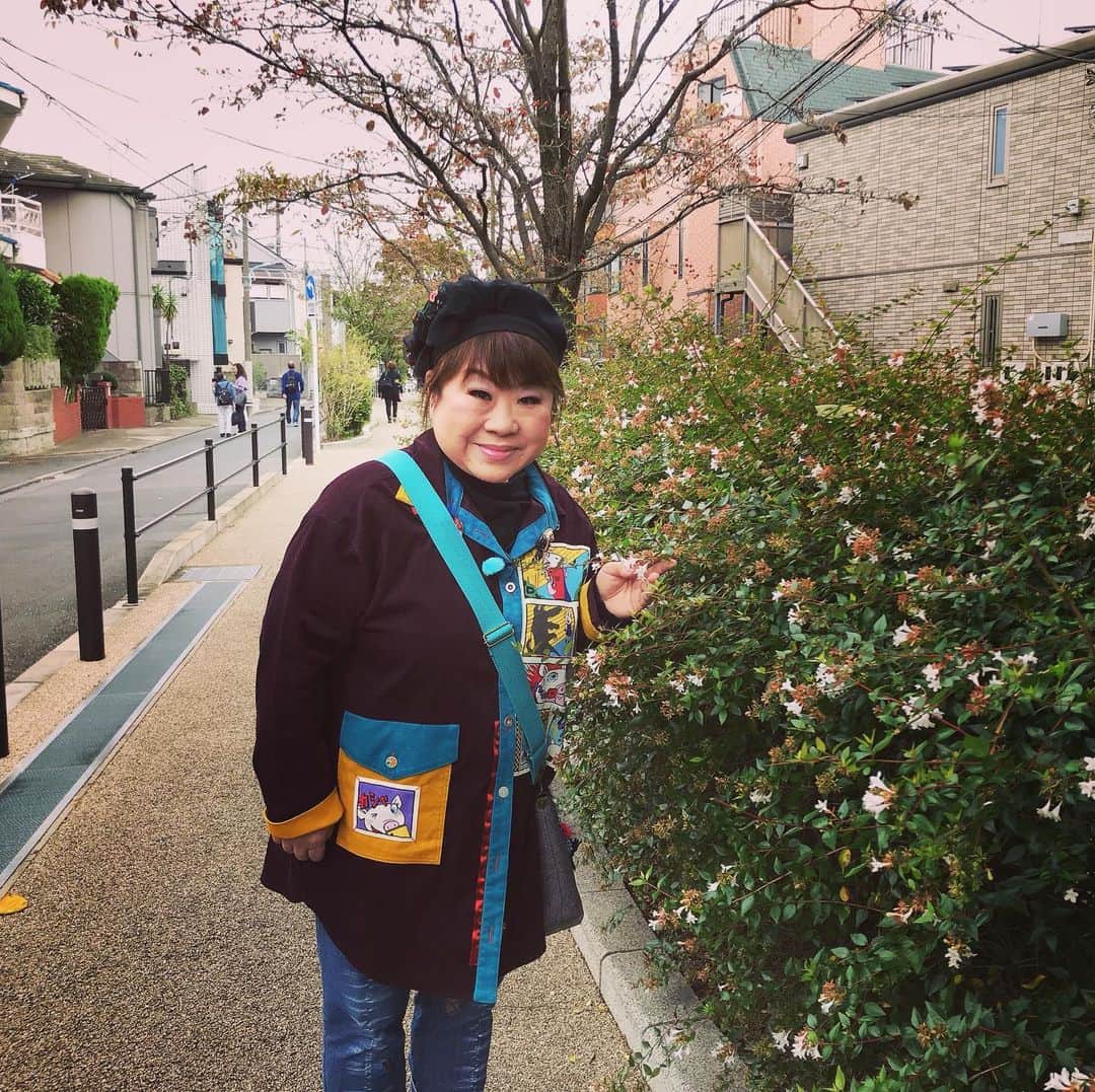 テレビ東京「朝の！さんぽ道」のインスタグラム：「朝の！さんぽ道　をご覧の皆様。 しばらくInstagramをお休みを しており、誠に申し訳ありません！ 引き続き、宜しくお願い致します！ 今週もご視聴有難うございます！  さて、来週は！ #紅白歌合戦　の常連！ #国民的歌手 あの　天童よしみ　さんが おさんぽします！  まさに今、紅葉の見頃を迎えている 群馬県のわたらせ渓谷鐡道周辺へ！ 絶品グルメなど、途中下車しながら 秋を満喫！ お楽しみに！  #朝のさんぽ道 #テレビ東京 #天童よしみ #大阪恋時雨 #わたらせ渓谷鐵道 #紅葉 #温泉」