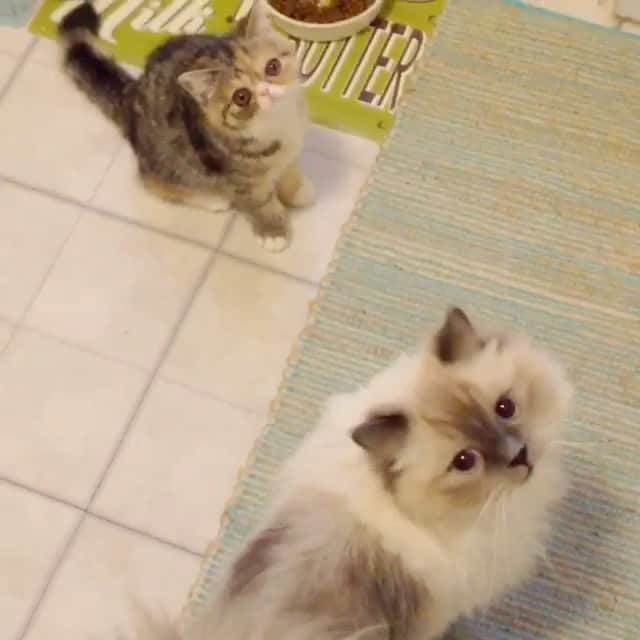 Tinaのインスタグラム：「Oldie but goodie 😻😻 #TBT #ThrowBackThursday」