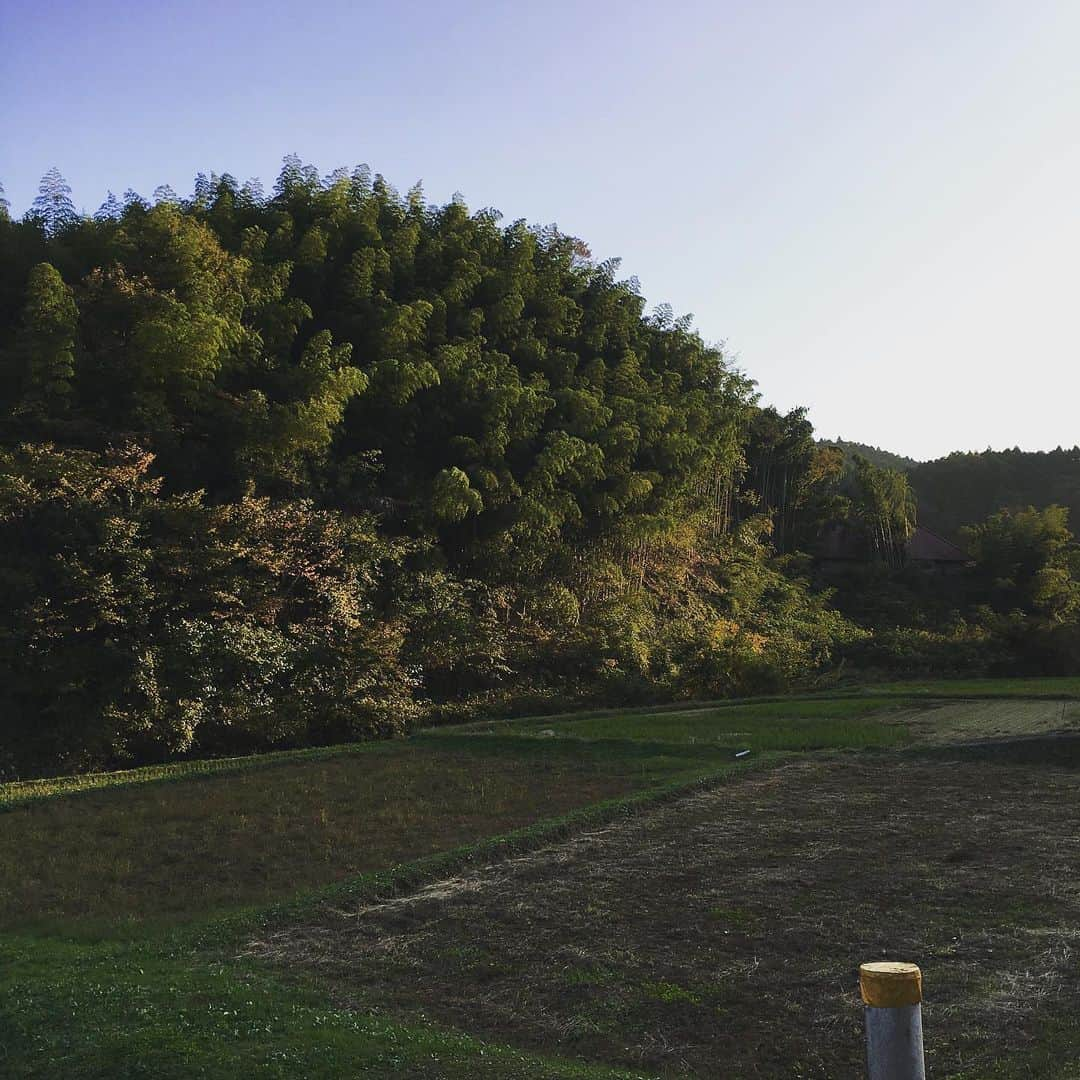 journaleatripさんのインスタグラム写真 - (journaleatripInstagram)「soil !! . . 土があれば なんとかなるさ。  土掘って(なるべく粘土質なもの) 繋ぎの為に藁を少々混ぜ 水を足してこねて 型にいれたら煉瓦🧱 整形したら器　 人形にしたら土偶  火を焚いて 三匹の子豚の一番よい家は煉瓦だったなぁ とか 目の前の畑を眺めたりして 里芋焼いたり時々話しをして 気長に待つ。 . 土があって水があって火を起こせれば 家だって食べ物だって作れて 生きていけるのだなぁ。 . 土地かぁ。。 .  長年のお付き合いといえるようになってきた陶芸家二階堂さんに誘われての 煉瓦作りと 依頼したeatrip soil用の素焼き皿を作る体験は 後からムクムクと消えずに湧いてくる . 本当に有難う。  恒例　二階堂展は今週土曜日からです！  11月23日　8:00〜 11月24日　8:00〜 @thelittleshopofflowers」11月21日 23時55分 - eatripjournal