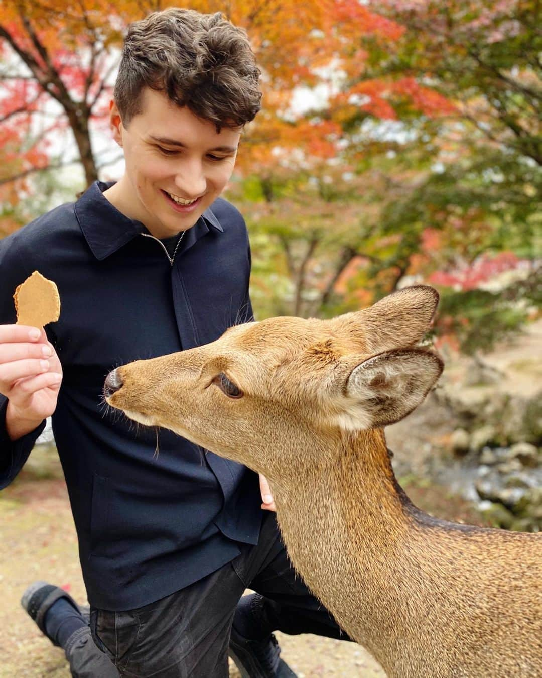 ダニエル・ハウウェルさんのインスタグラム写真 - (ダニエル・ハウウェルInstagram)「i feel like she only wanted me for my crackers」11月21日 23時52分 - danielhowell